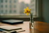 transition professionnelle