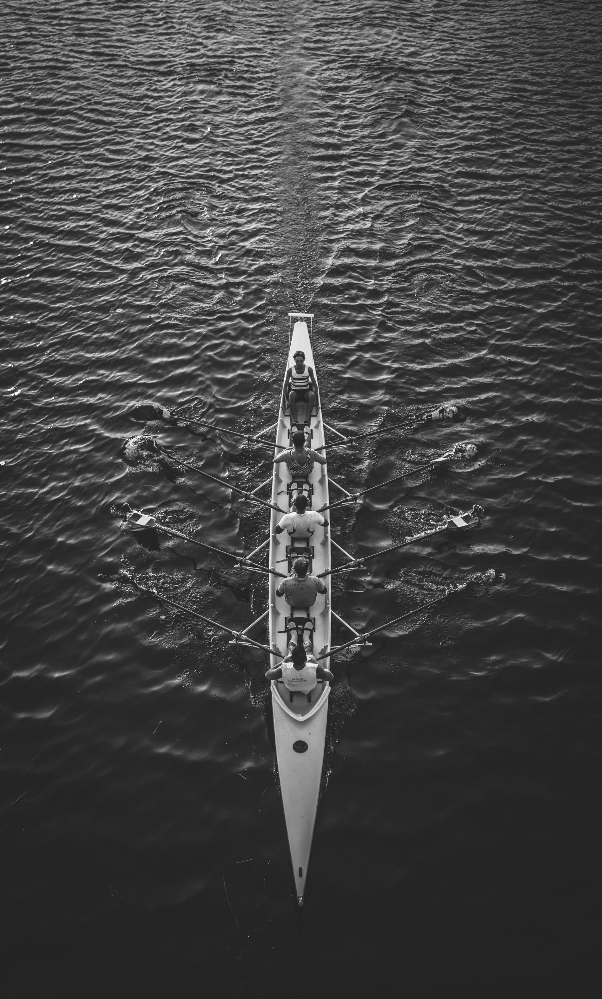 aviron esprit d'équipe